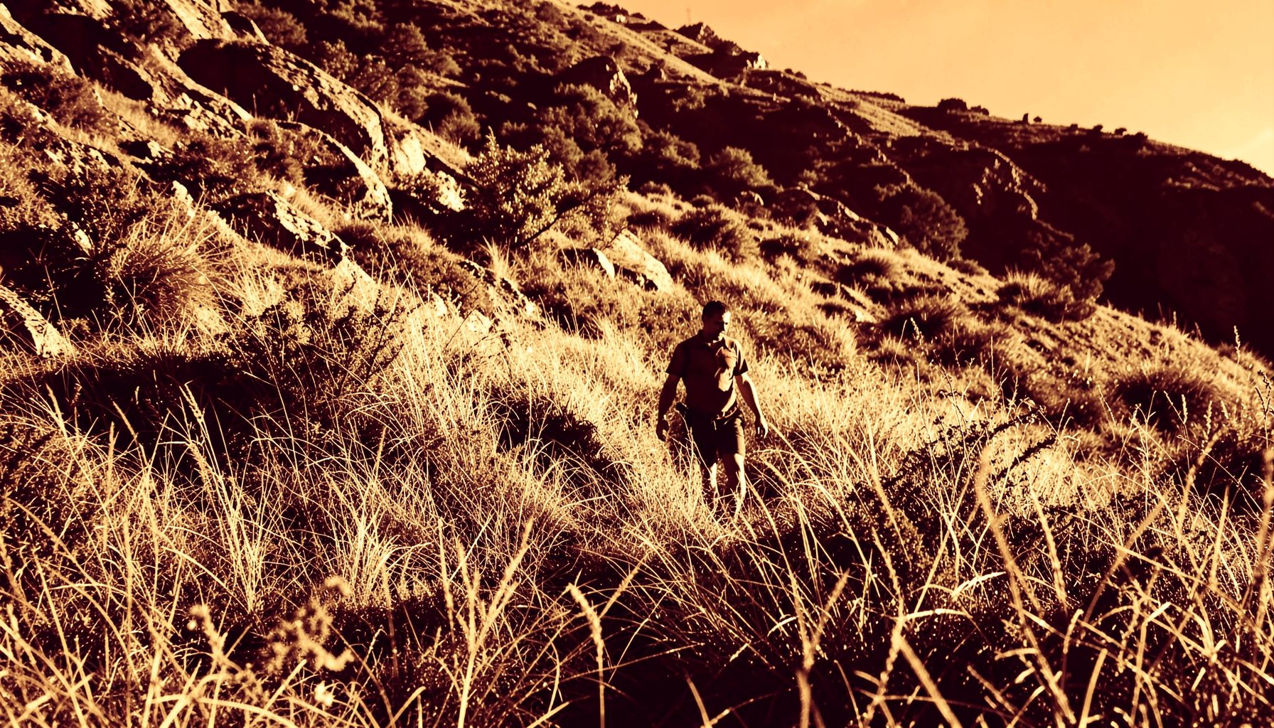Rugged hillside with a man and boy walking through tall grass, warm gold and brown duotone, adventurous mood